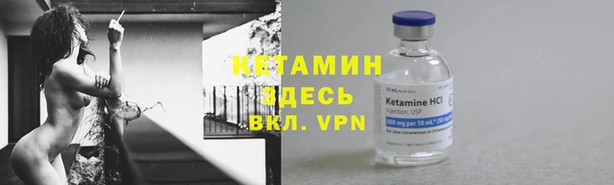 ПСИЛОЦИБИНОВЫЕ ГРИБЫ Верхний Тагил