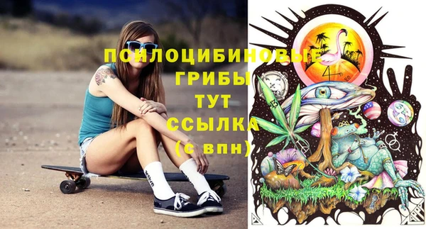 Альфа ПВП Верхнеуральск