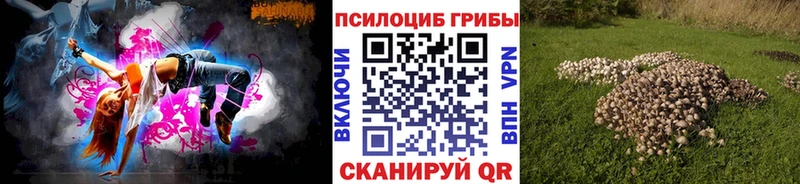 закладка Демидов Псилоцибиновые грибы Psilocybe